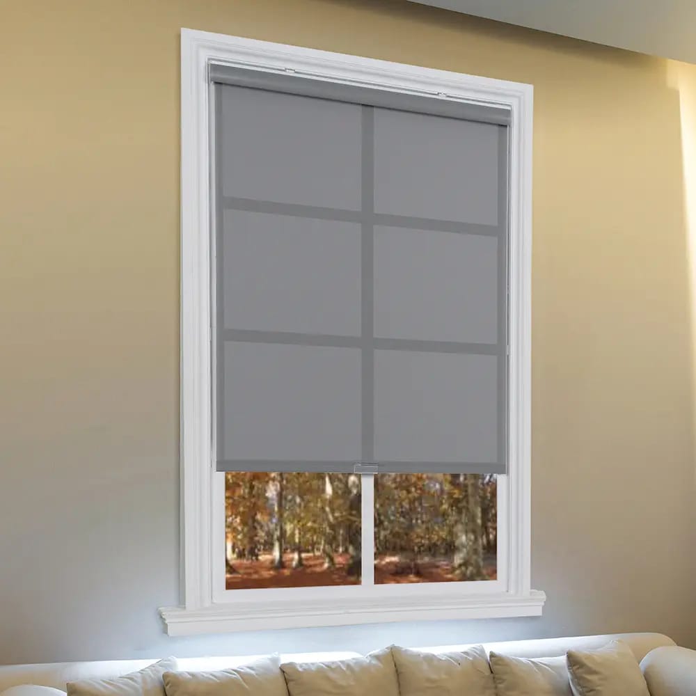 Cordless Sunscreen Roller Shade, Stone, 23" x 66"