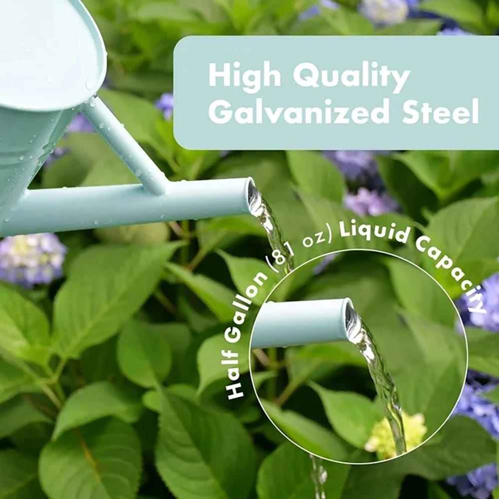 Homarden 1/2 Gallon Watering Can, Teal