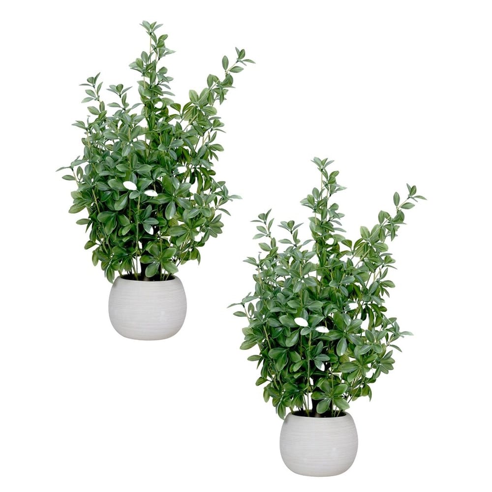 Vintage Home 28" Olive Trees in Beige Ceramic Planters, 2 Pack