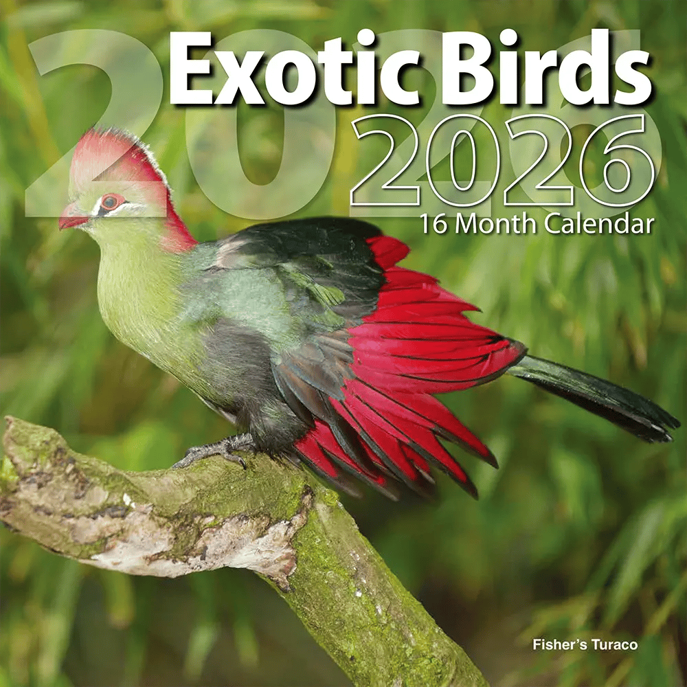 2026 Birds Themed 16 Month Wall Calendar, 12"