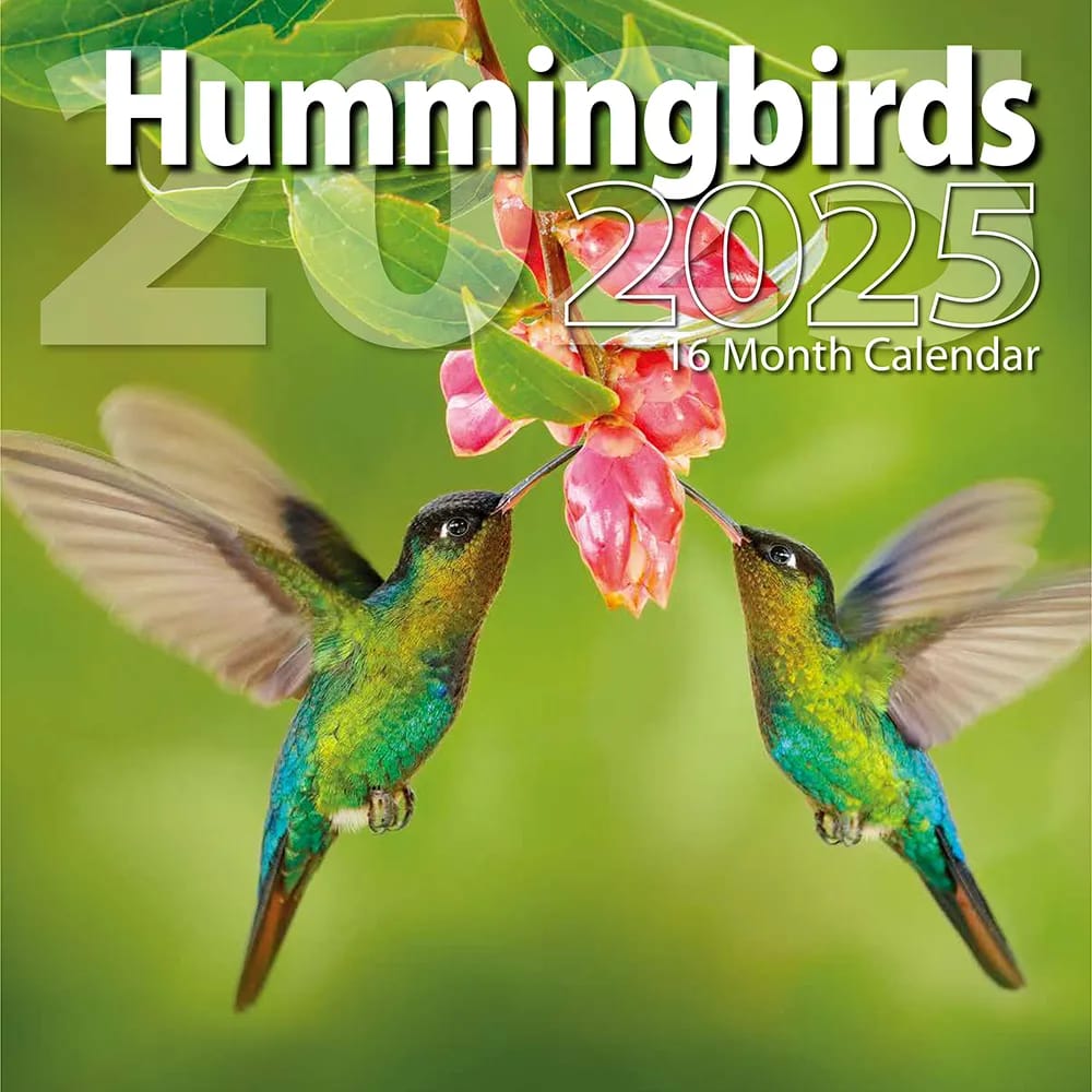 2025 Hummingbirds Themed 16 Month Wall Calendar, 12"