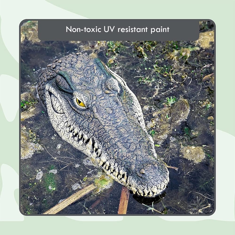 Floating Crocodile Head