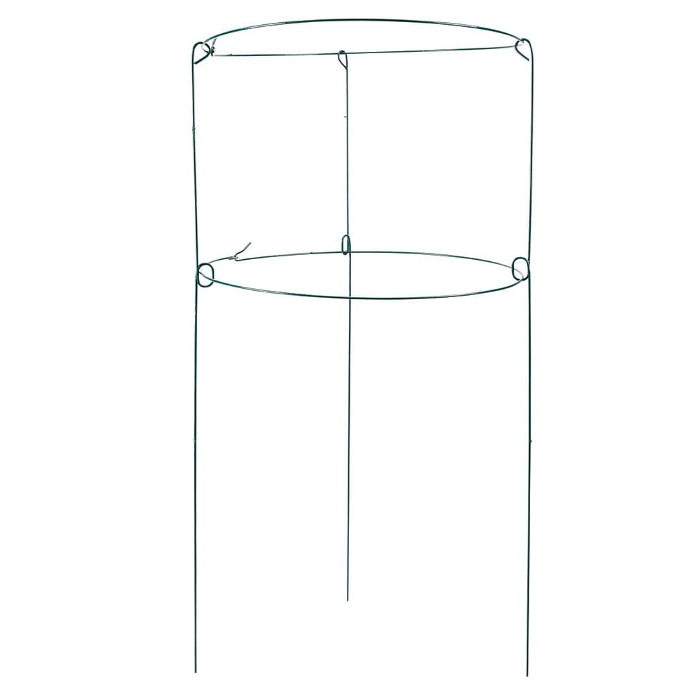 Peony Double Ring Plant Support, 18" x 36"