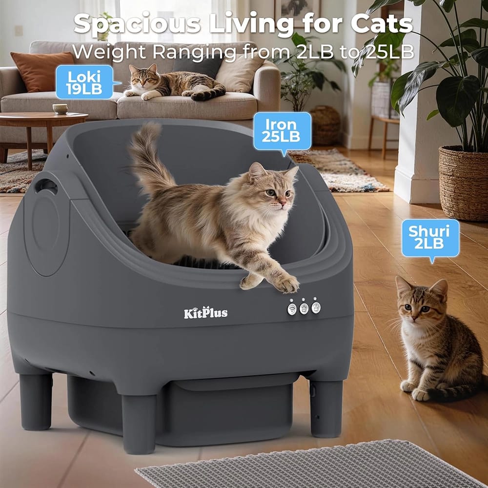 KitPlus Self Cleaning Litter Box, Black