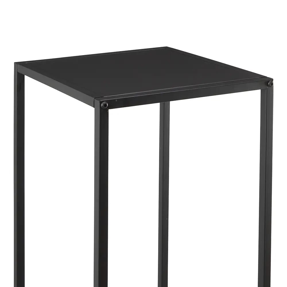 Idzo Tall Metal Plant Stand, Black