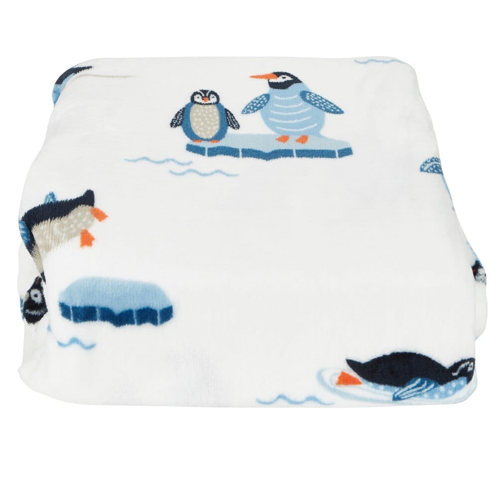 Winter Themed Twin Velvet Plush Blanket