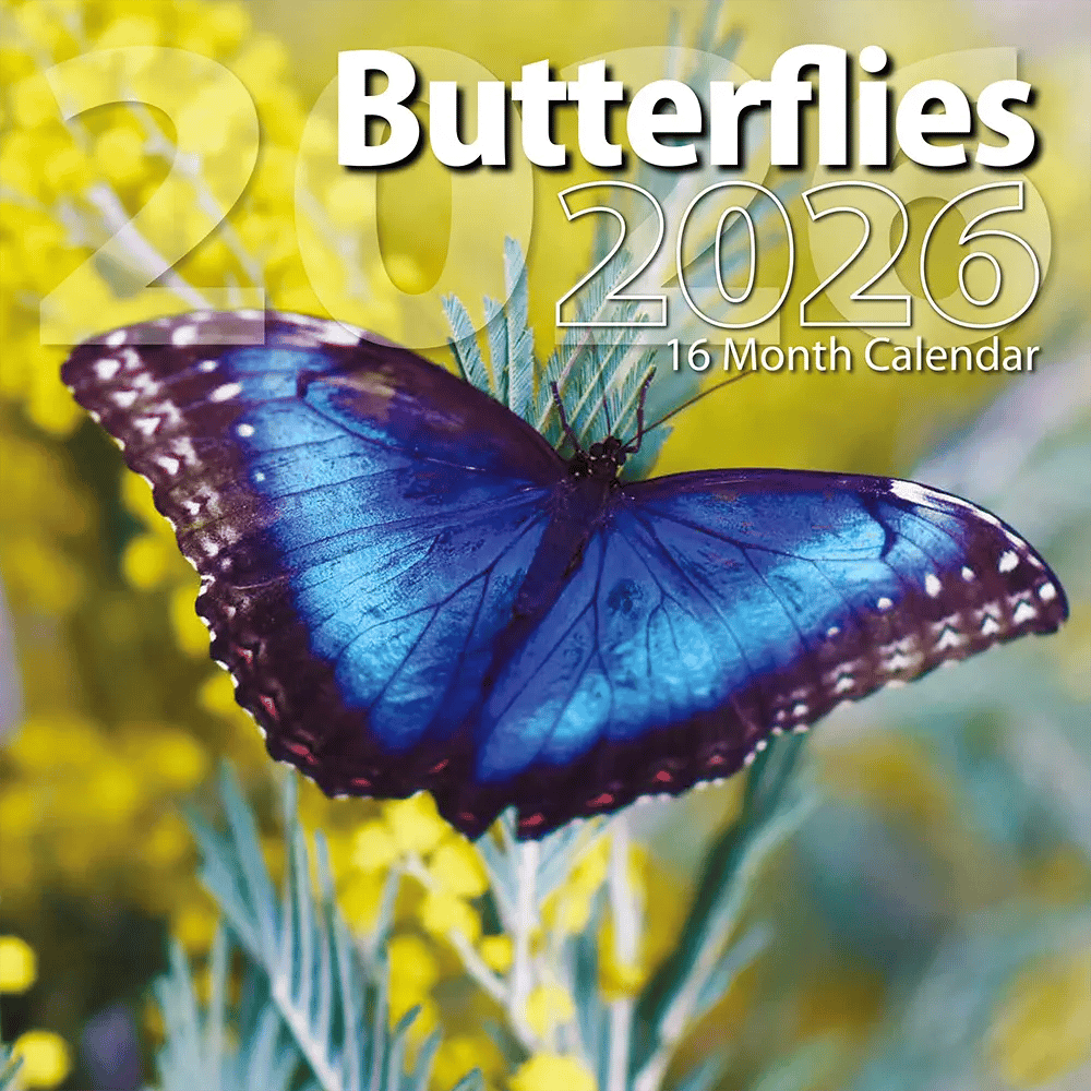 2026 Butterflies Themed 16 Month Wall Calendar, 12"