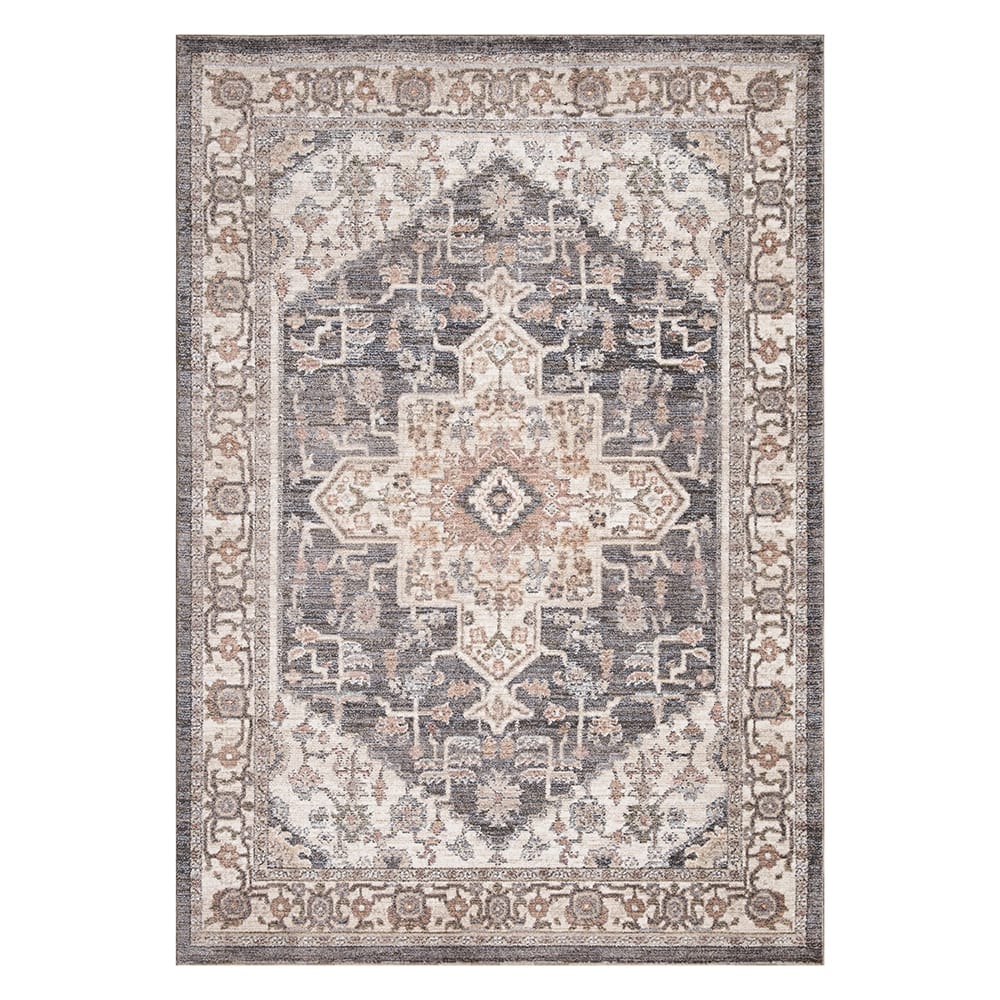 Danica II 9' x 12' Area Rug, Dark Gray/Multi