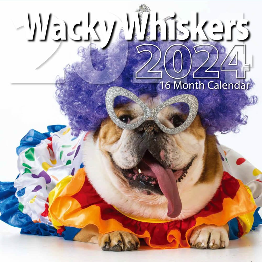 2024 Wacky Whiskers Themed 16 Month Wall Calendar, 12"