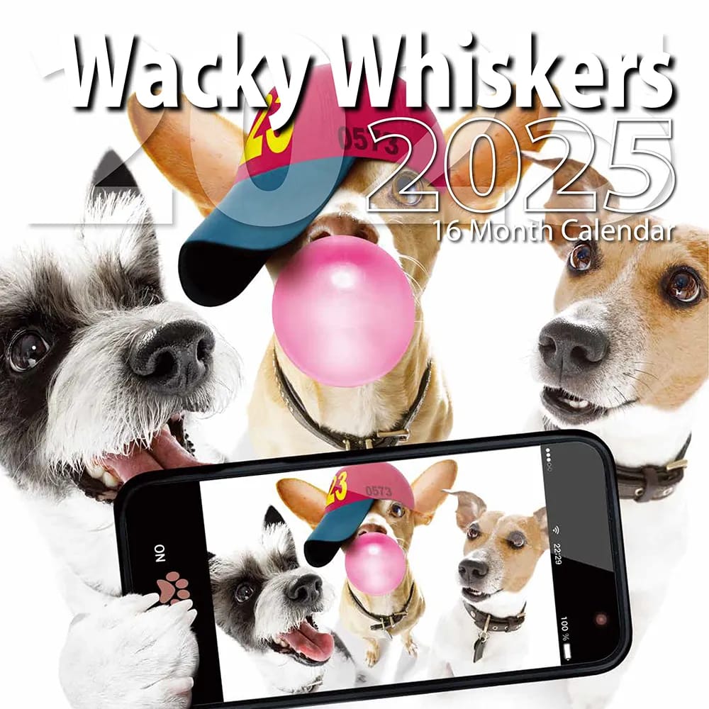 2025 Wacky Whiskers Themed 16 Month Wall Calendar, 12"