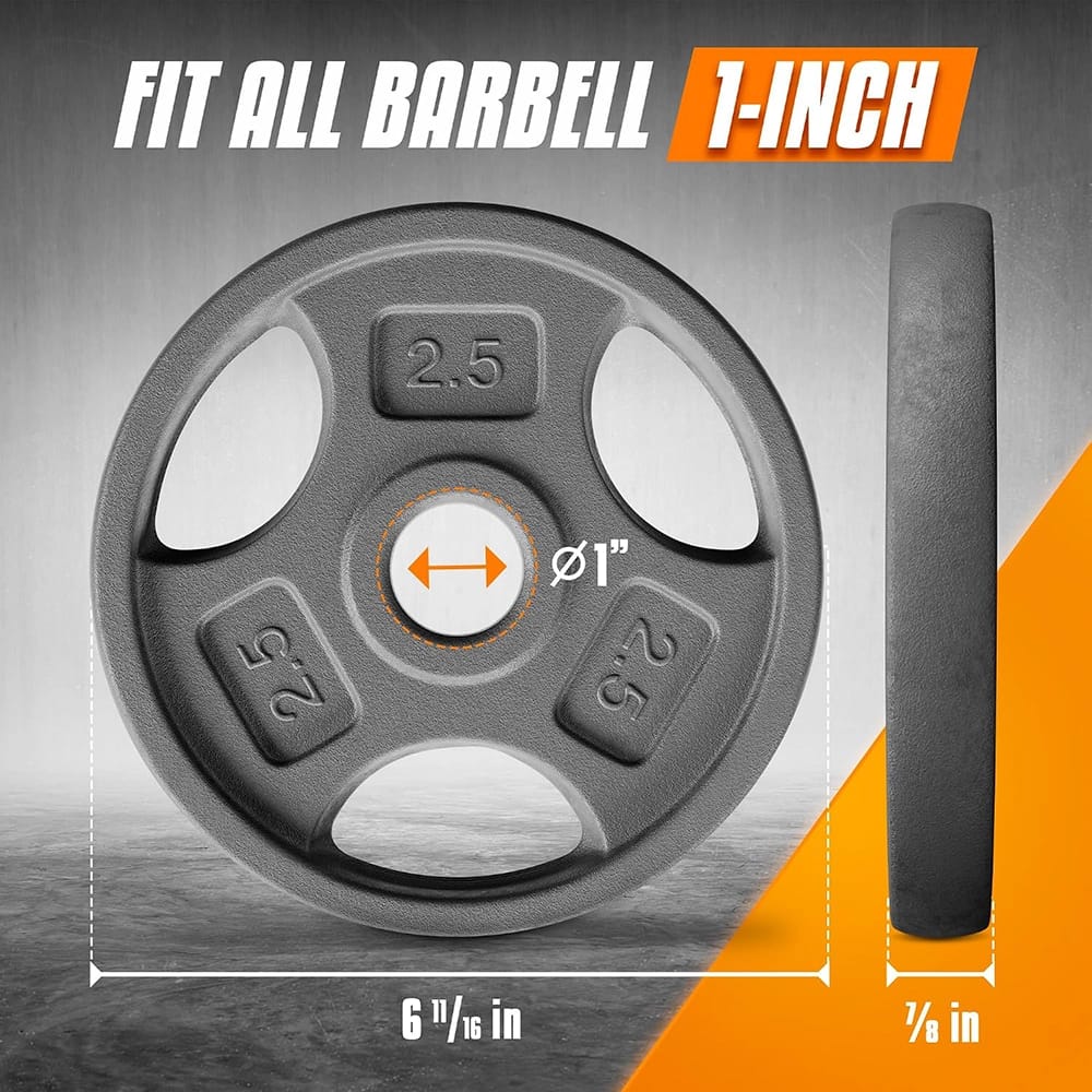 Yes4All Cast Iron 1-Inch Grip 4-Piece Weight Plates, 2.5 lb