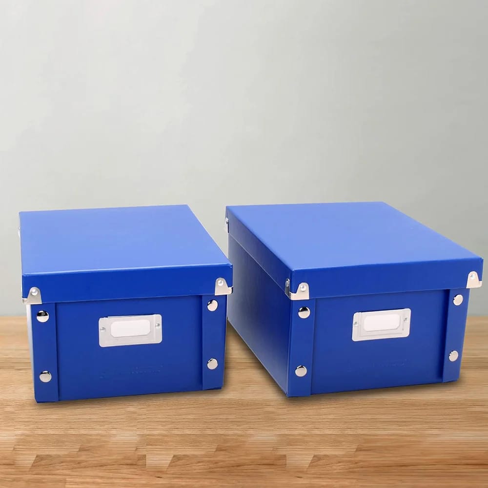 Snap-N-Store Small Collapsible Storage Box, Blue/Dinosaurs, 2 Pack