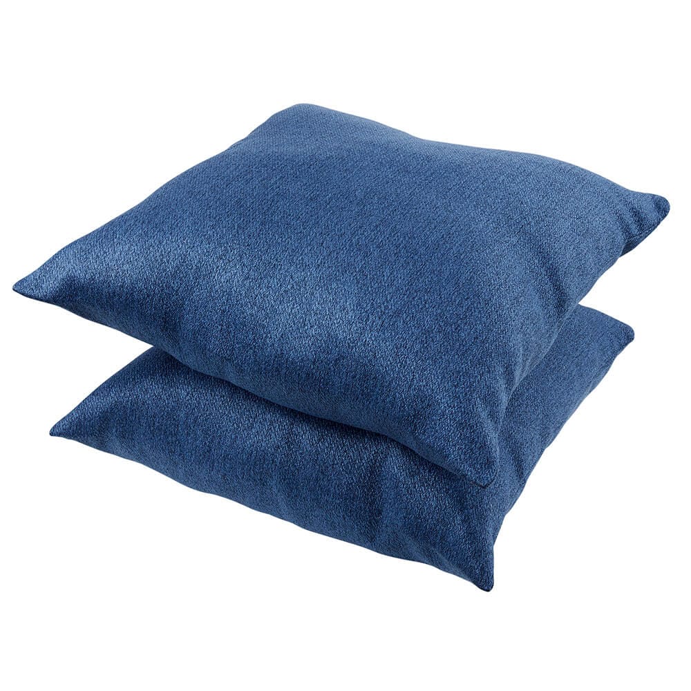 Back Home Decorative Throw Pillows, 2 Pack