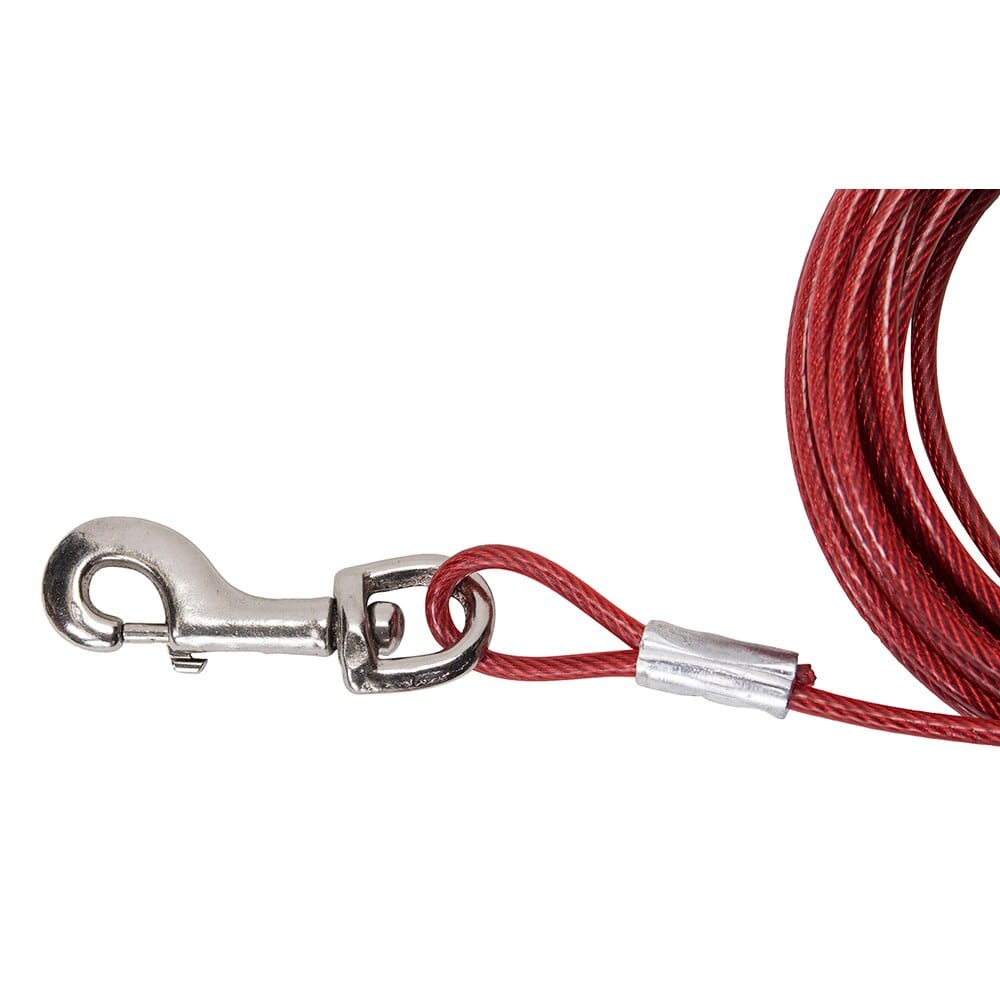 30' Tie-Out Dog Large Dog Cable