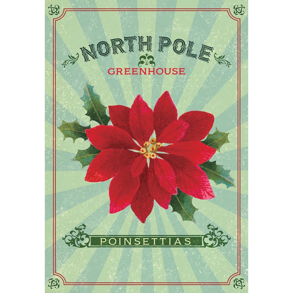 Country Christmas Boxed Cards, 20 Pack