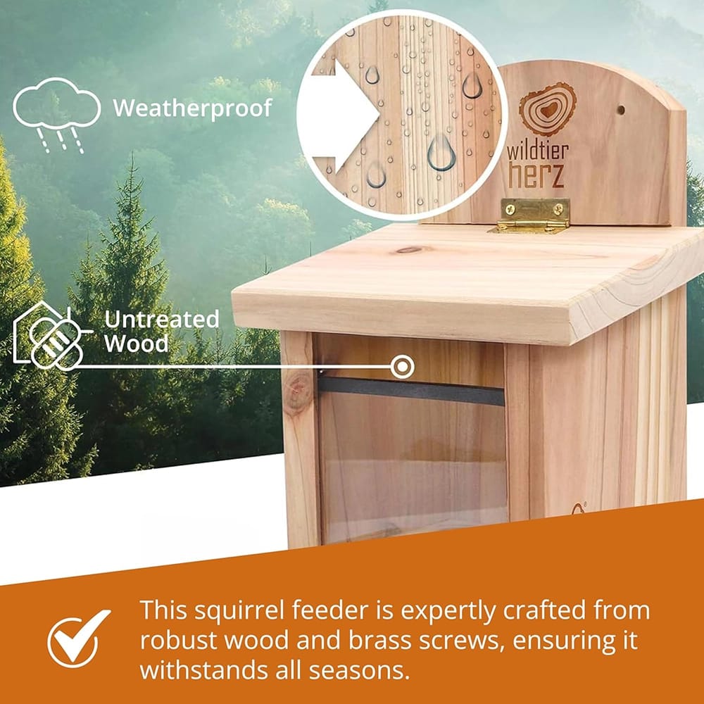 Wildtier Herz Wood Squirrel Feeding House