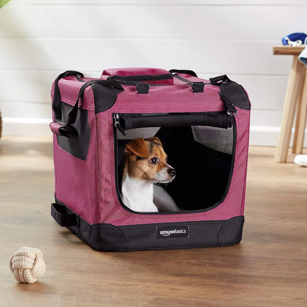 Foldable Soft-Sided Pet Carrier, 21" x 15" x 15", Red