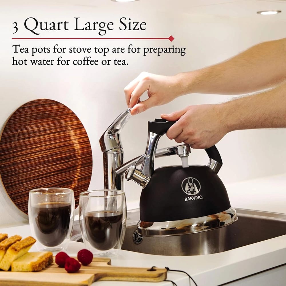 BARVIVO Premium Whistling Tea Kettle, Black