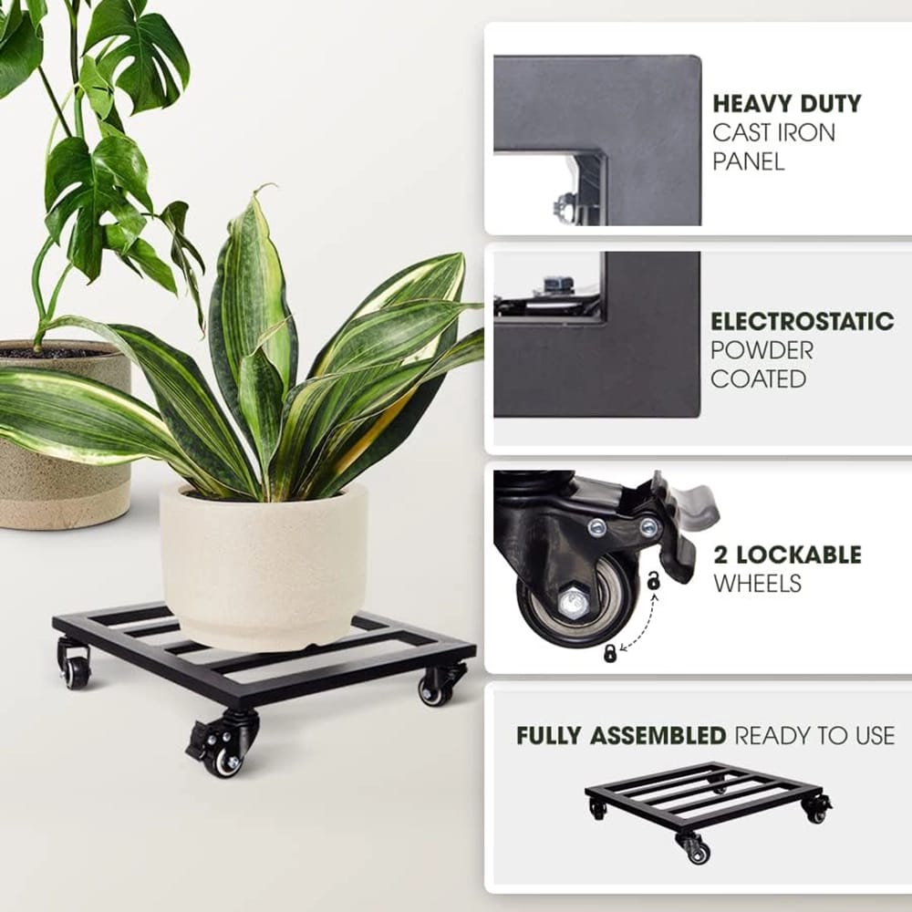 Idzo Heavy Duty Plant Caddy with Wheels, Black, 12"