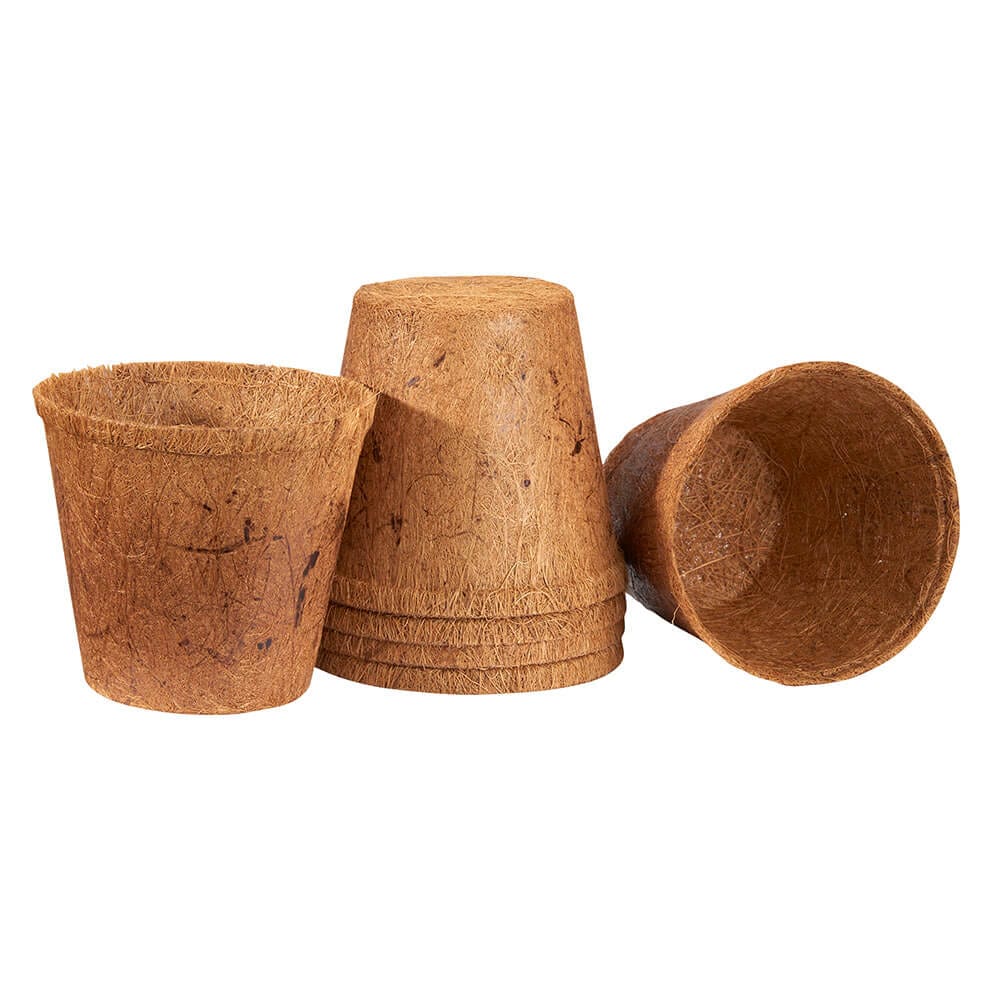 PlantBest Plantable 4.5" Coconut Coir Pots, 6 Count