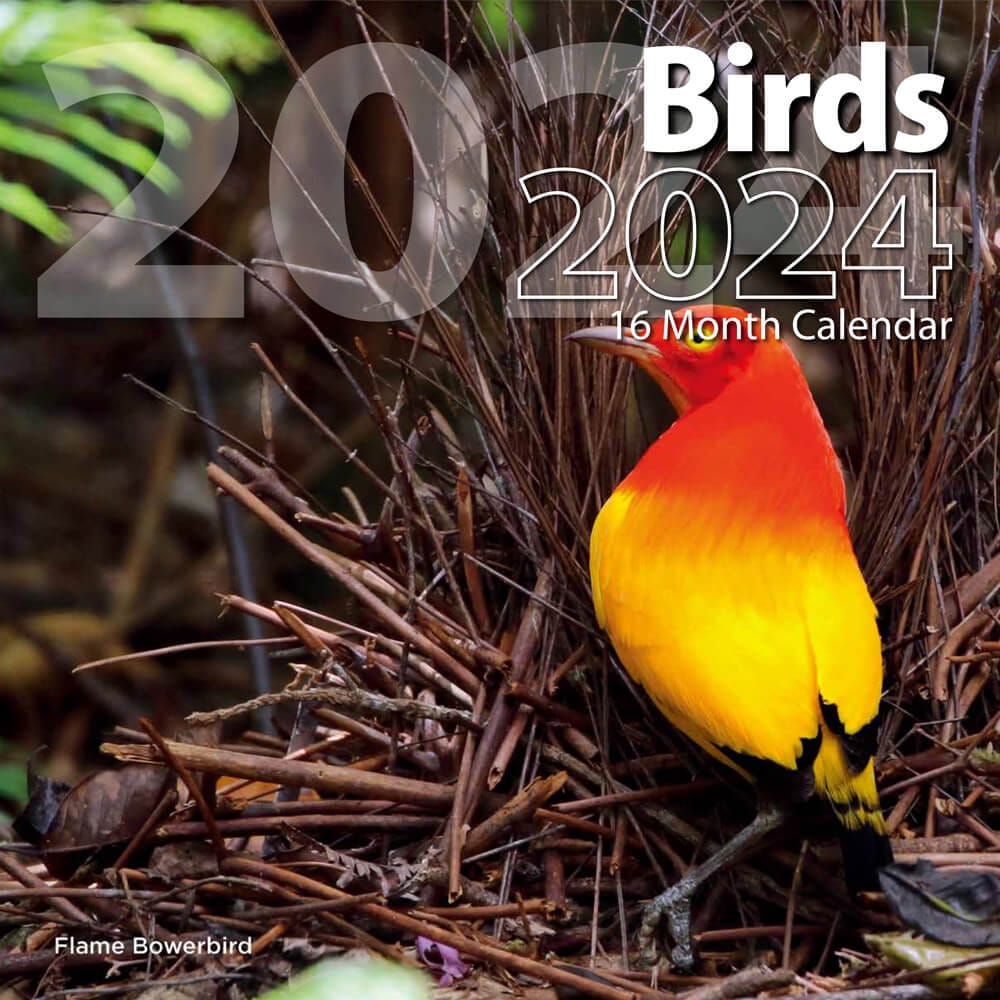 2024 Birds Themed 16 Month Wall Calendar, 12"