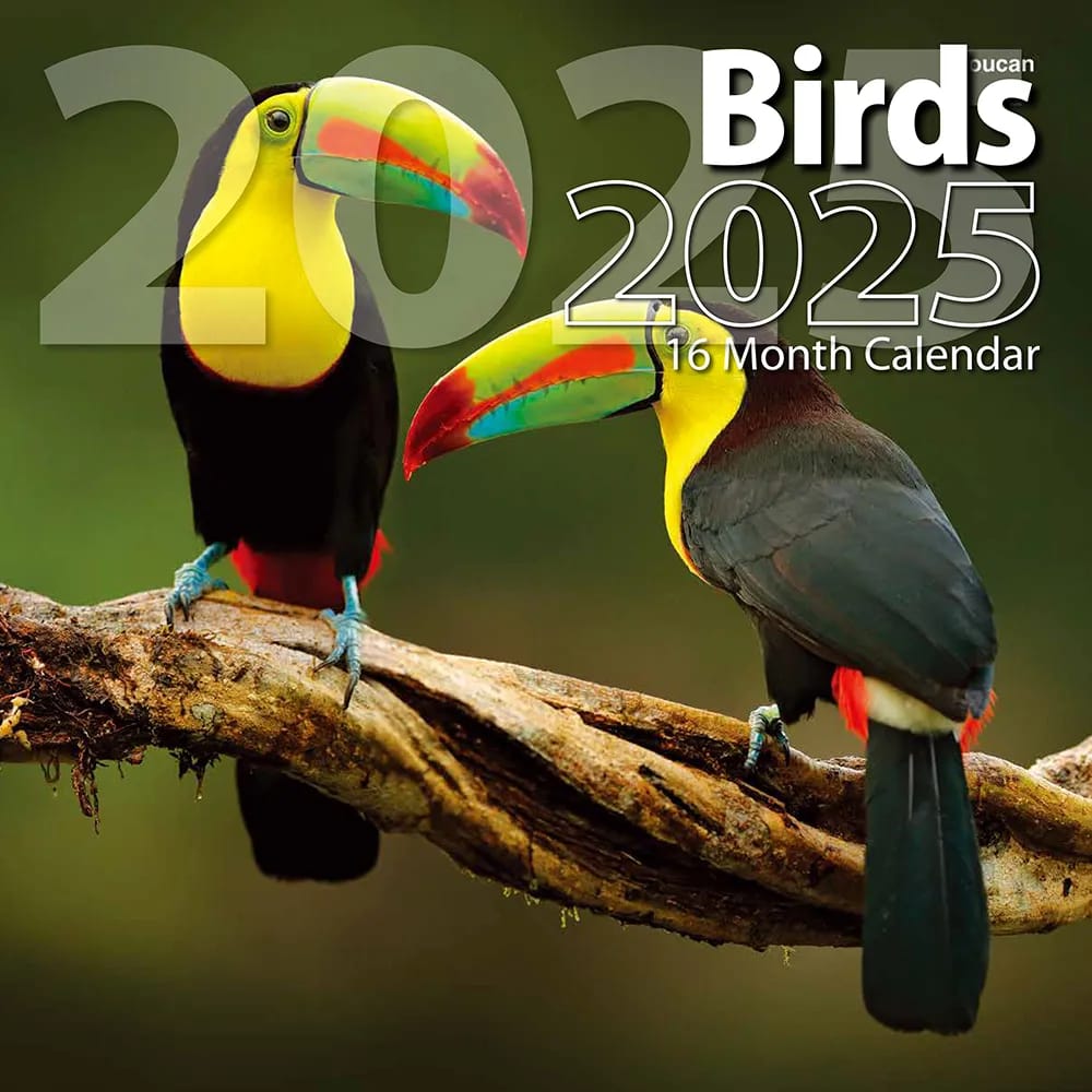 2025 Birds Themed 16 Month Wall Calendar, 12"