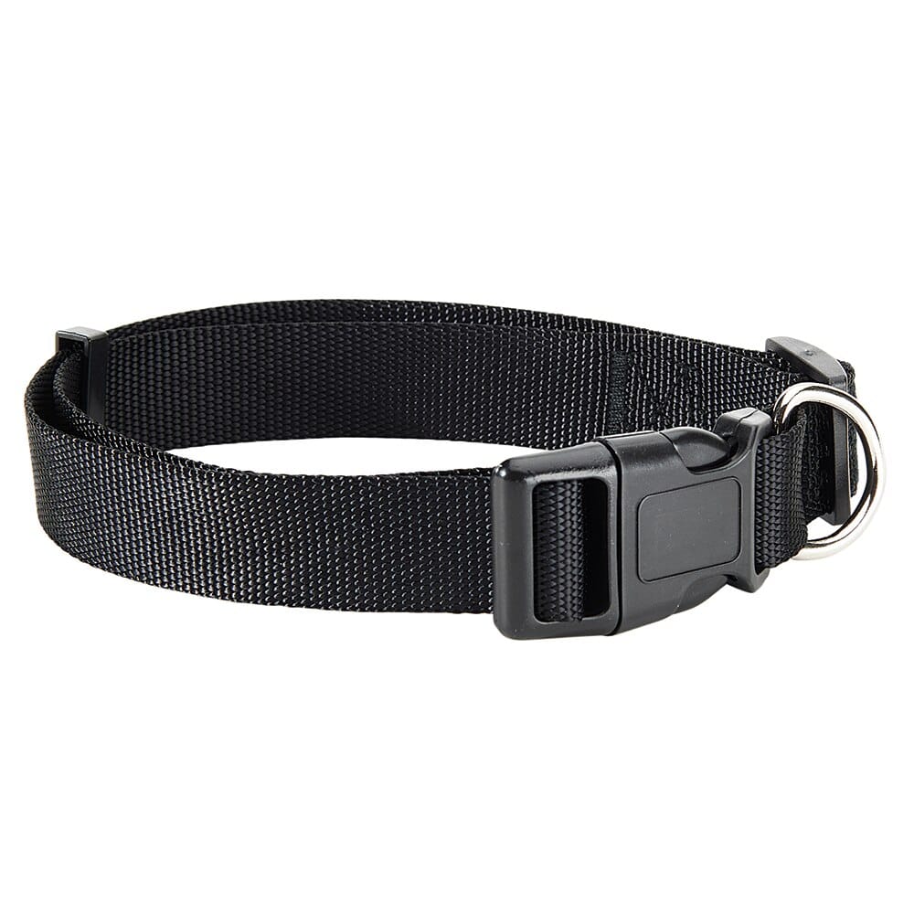 Pet Leader 1" Adjustable Pet Collar in Black