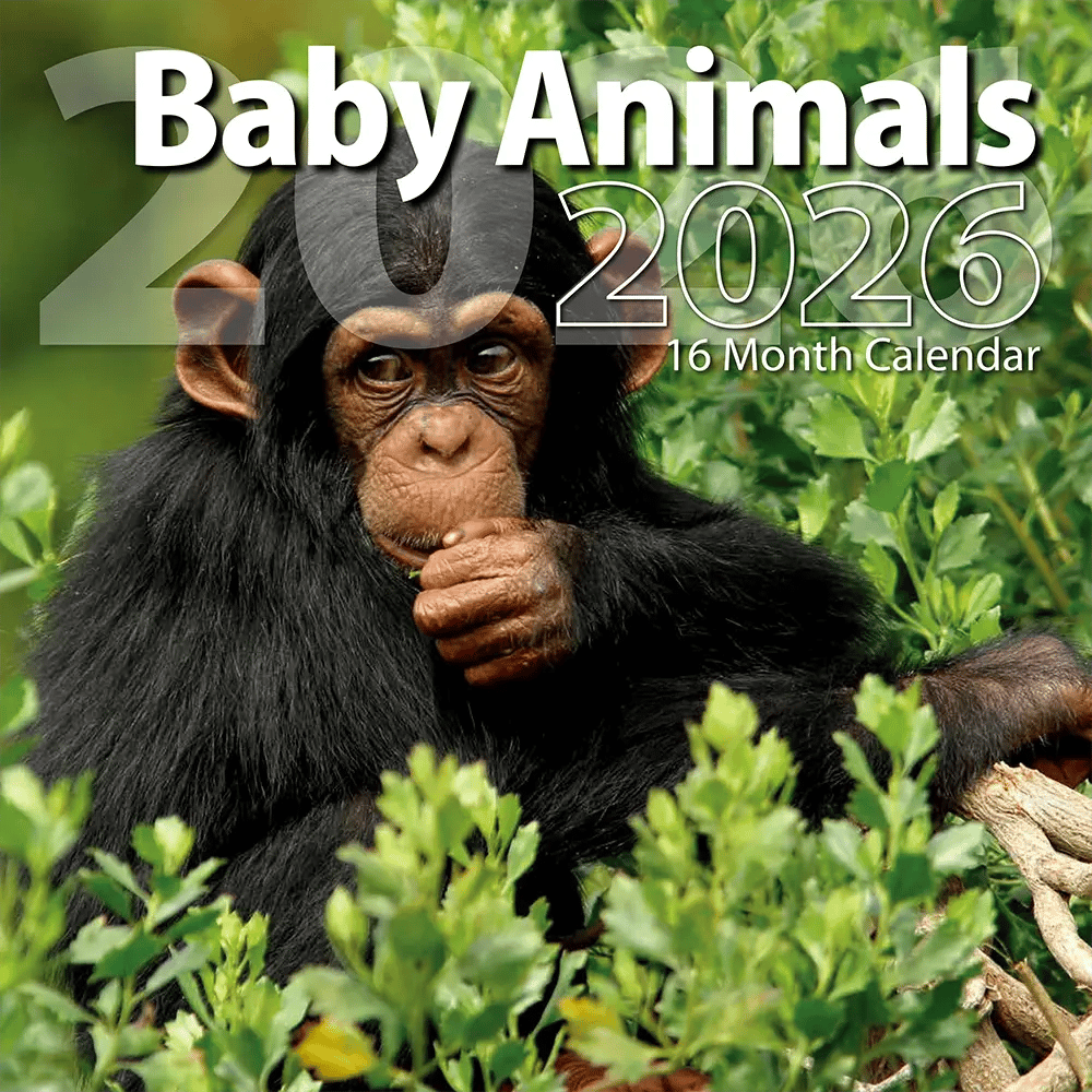 2026 Baby Animals Themed 16 Month Wall Calendar, 12"