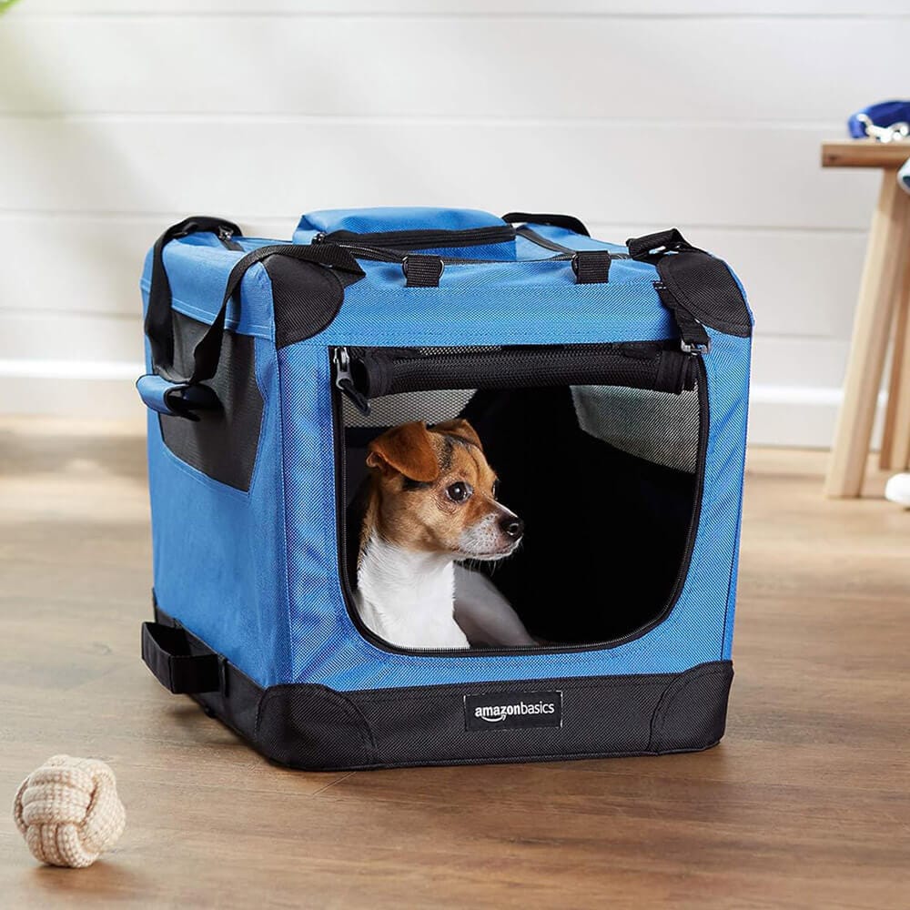 Foldable Soft-Sided Pet Carrier, 21" x 15" x 15", Blue