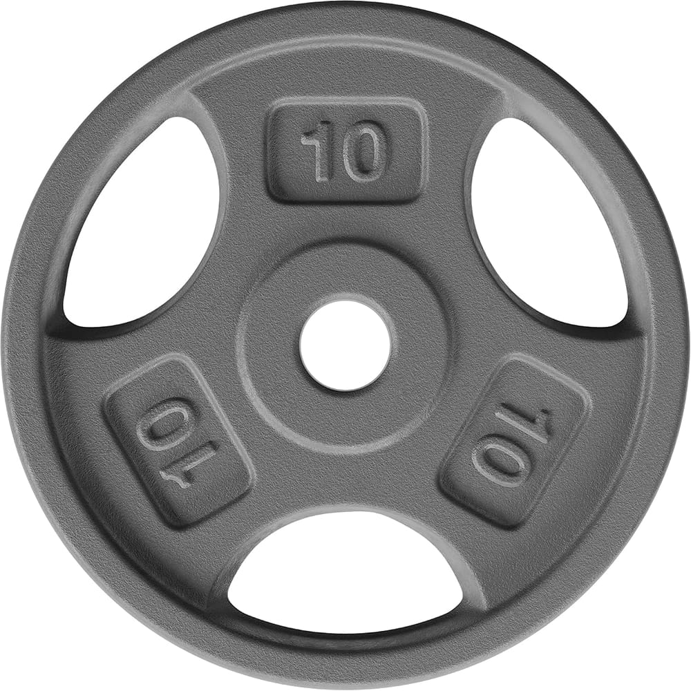 Yes4All 1 Inch Grip Cast Iron Weight Plate, 10 lb