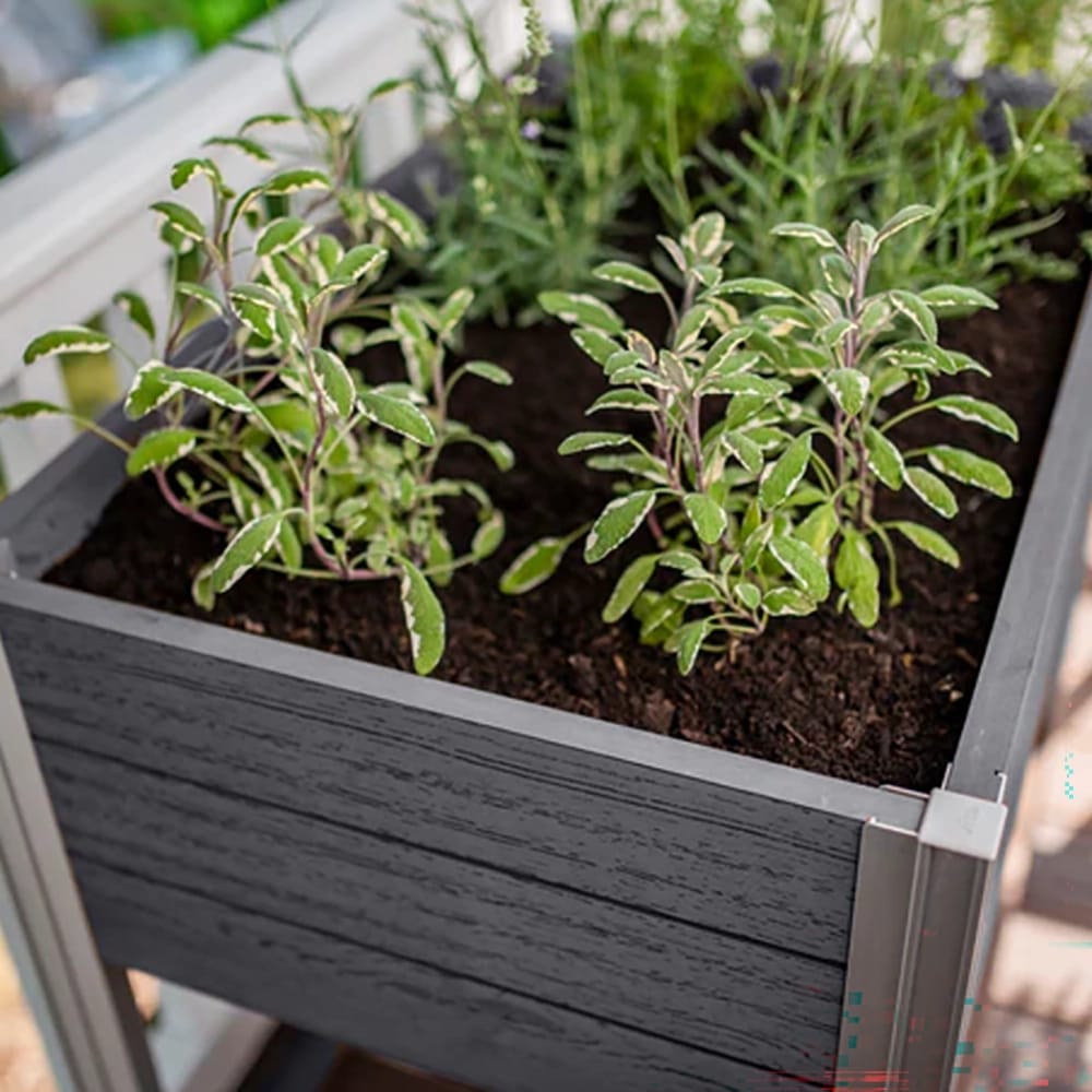 Vita Urbana Herb Farm, Slate Gray