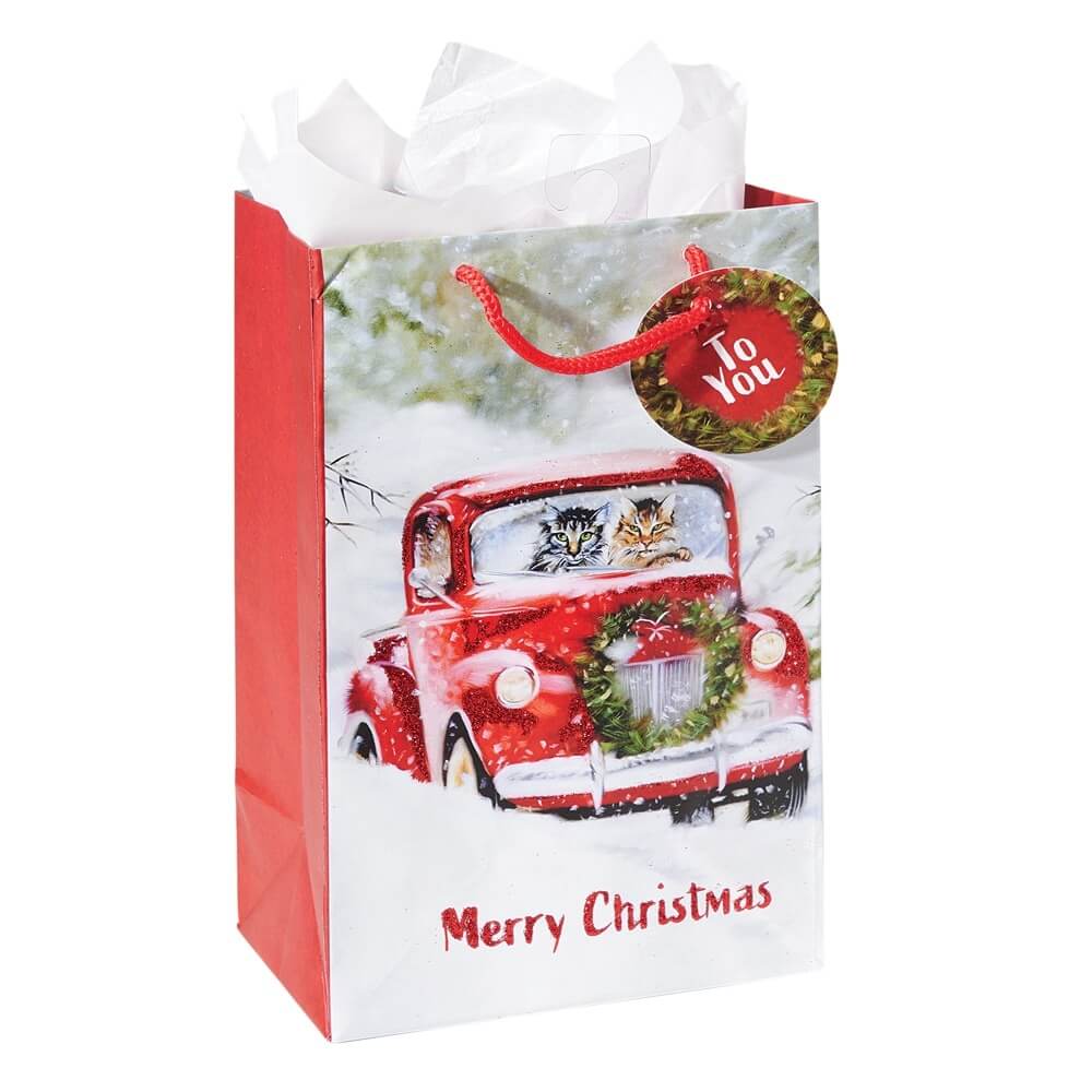 Jr. Cub Christmas Gift Bags