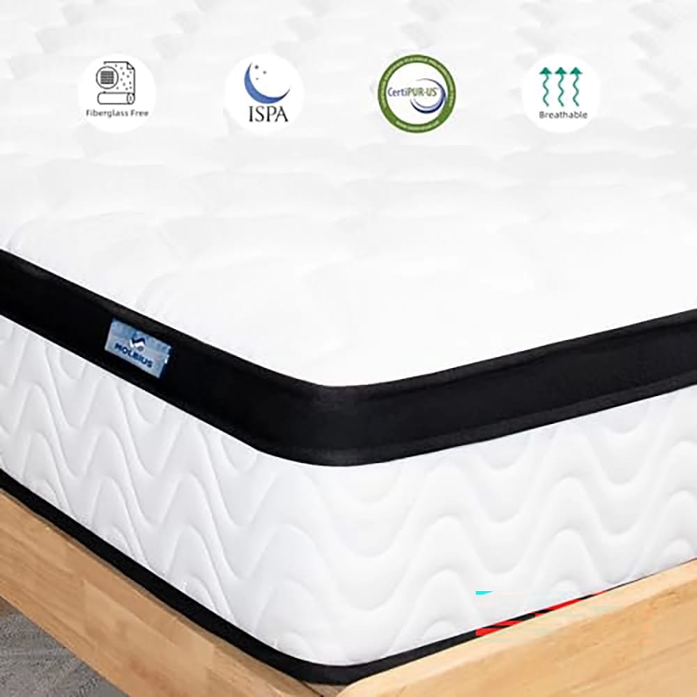 MOLBIUS 10" Medium Firm Feel Memory Foam Mattress, Queen