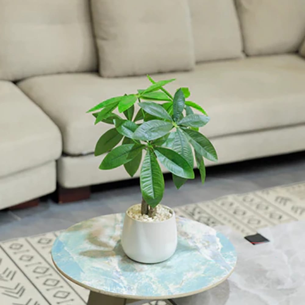 Vintage Home 18" Money Trees in Modern Ceramic Vases, 2 Pack