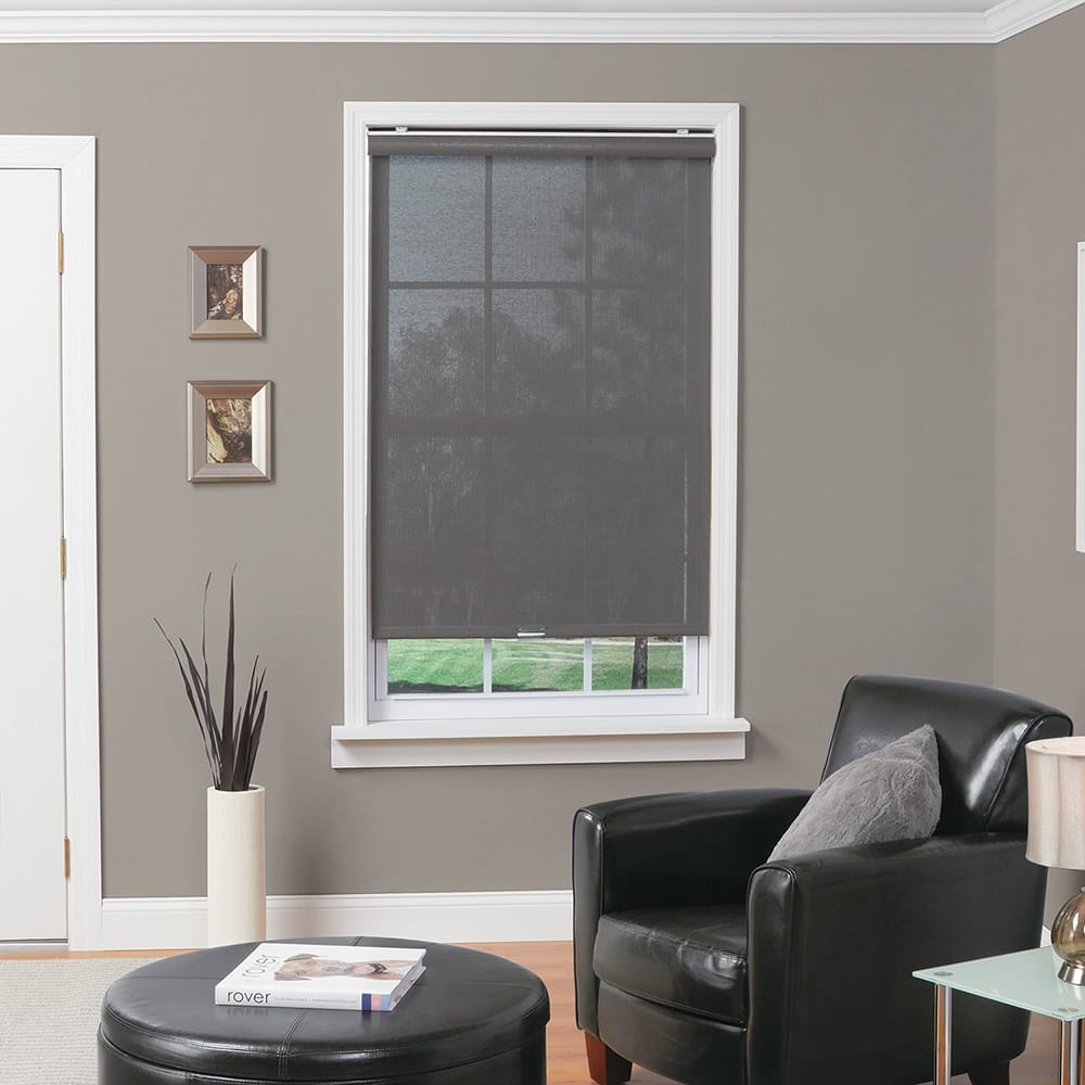 Cordless Semi-Sheer Fabric Roller Shade, Pewter, 31" x 66"