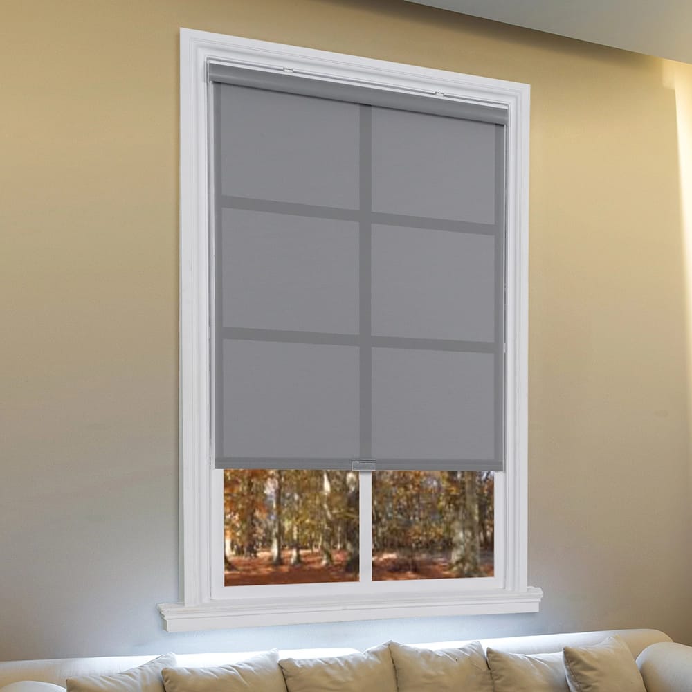 Cordless Sunscreen Roller Shade, Stone, 36" x 66"