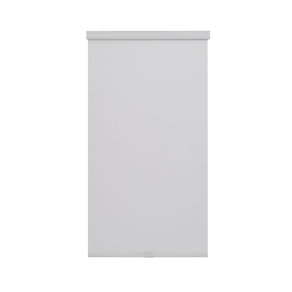 Cordless Sunscreen Roller Shade, Putty, 35" x 66"