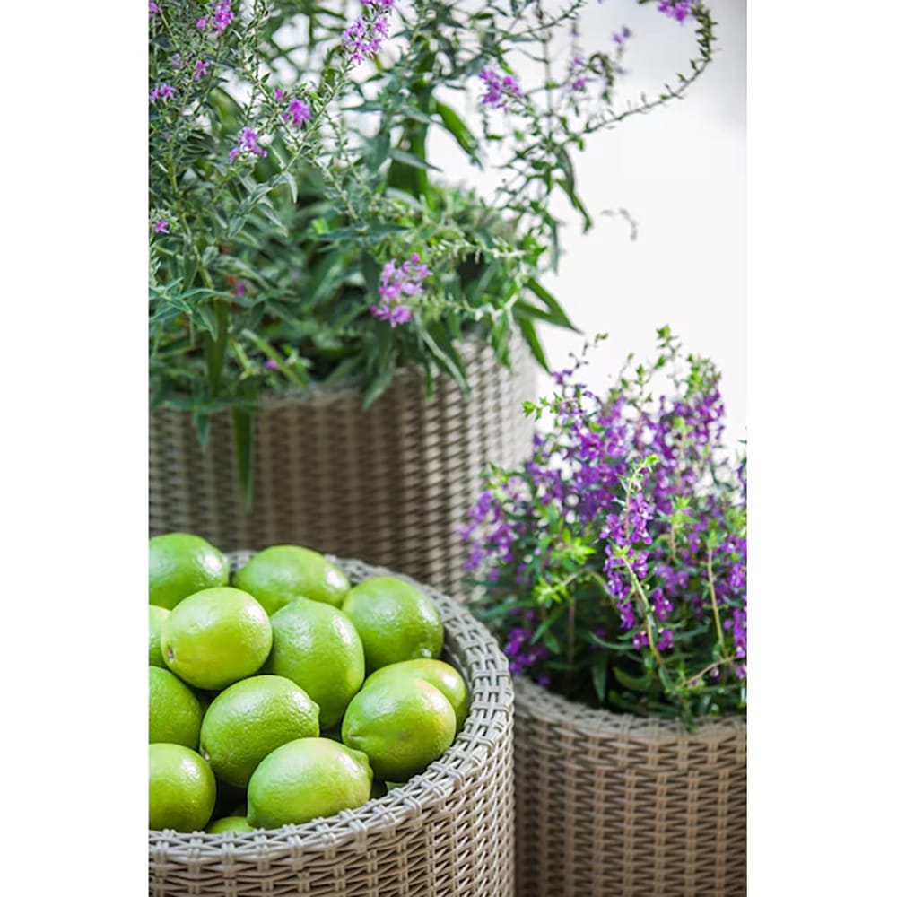 Keter Round Resin Indoor/Outdoor Self Watering Planter, Taupe, Set of 3