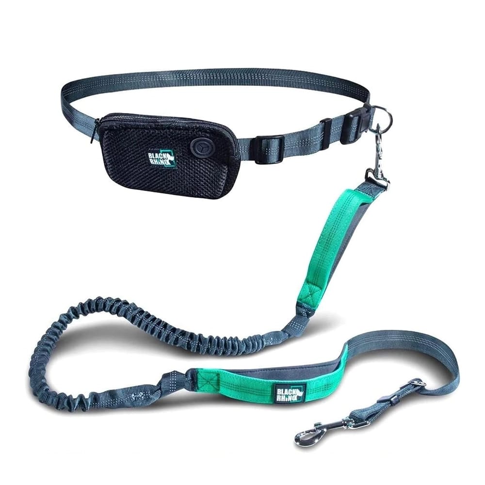 Black Rhino Hands Free Dog Leash, Gray/Aqua