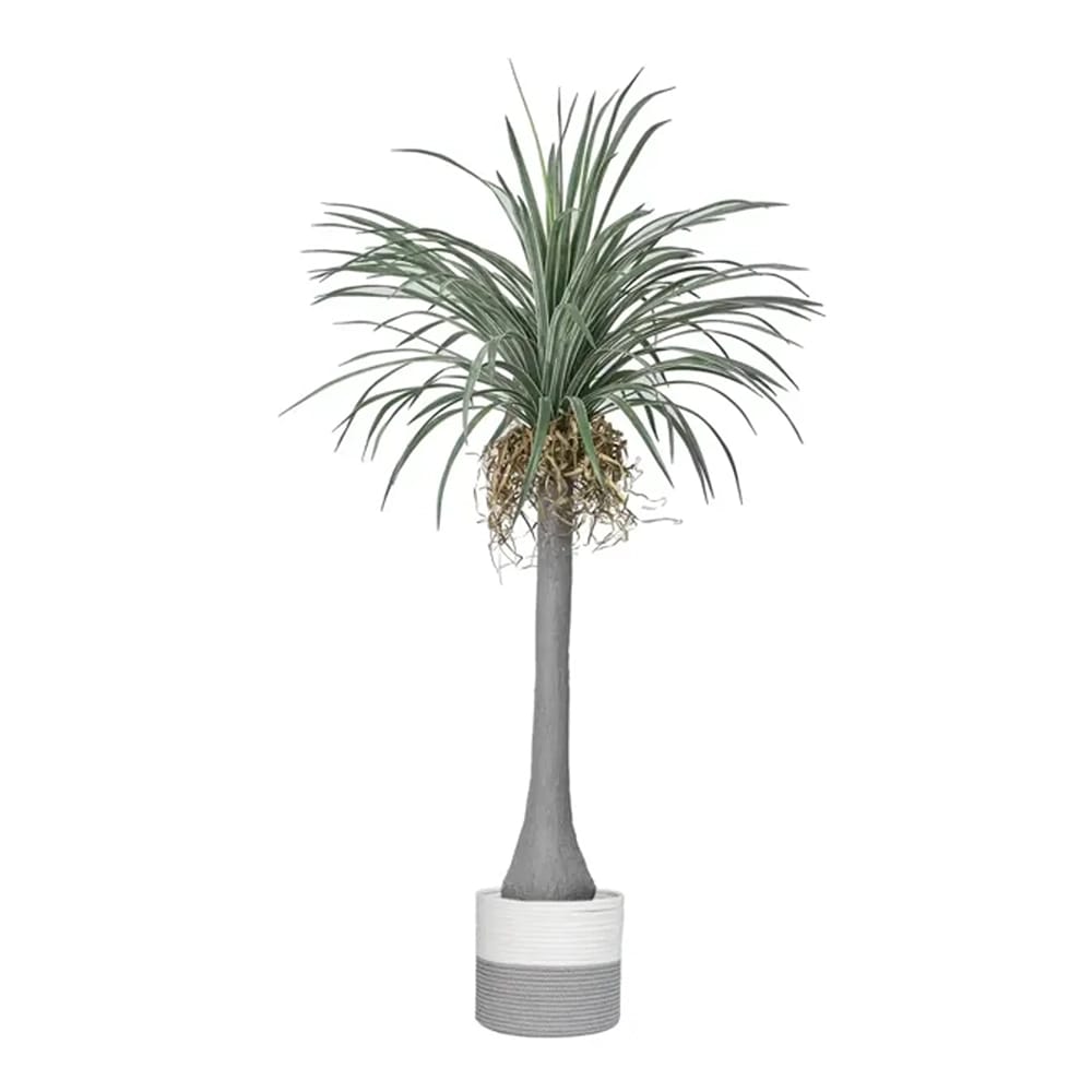 Vintage Home 78" Dracaena Dragon Tree in Rope Basket