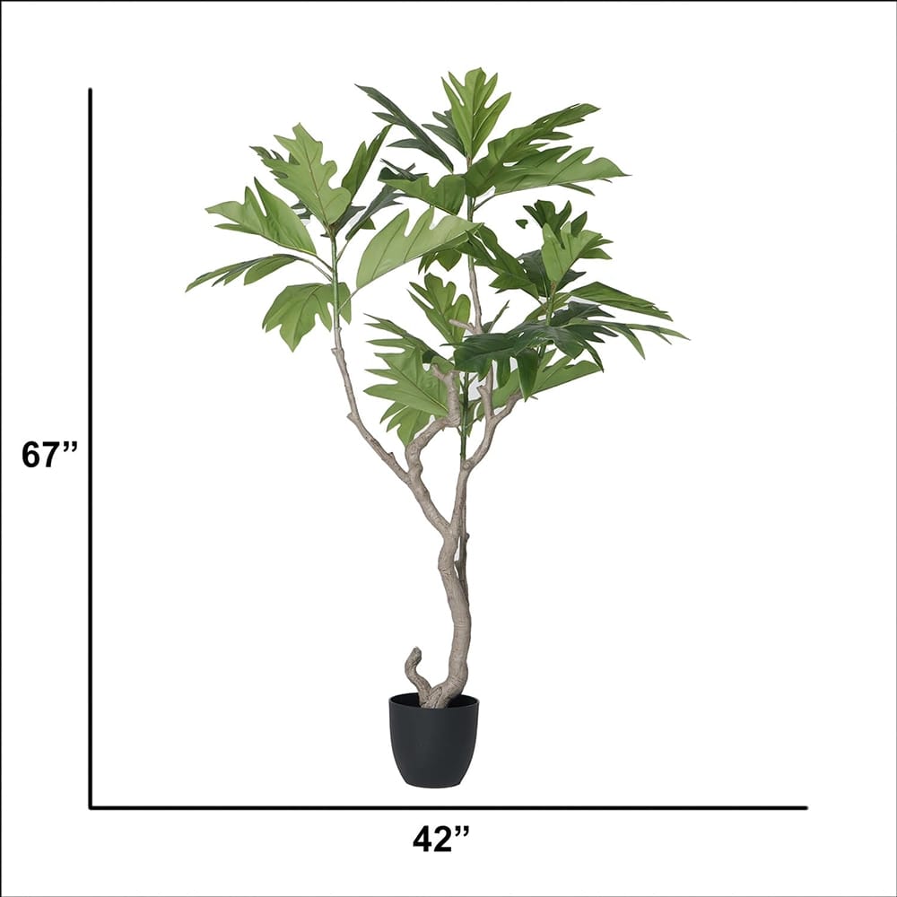 Vintage Home 67" Fiddle Tree in Black Pot