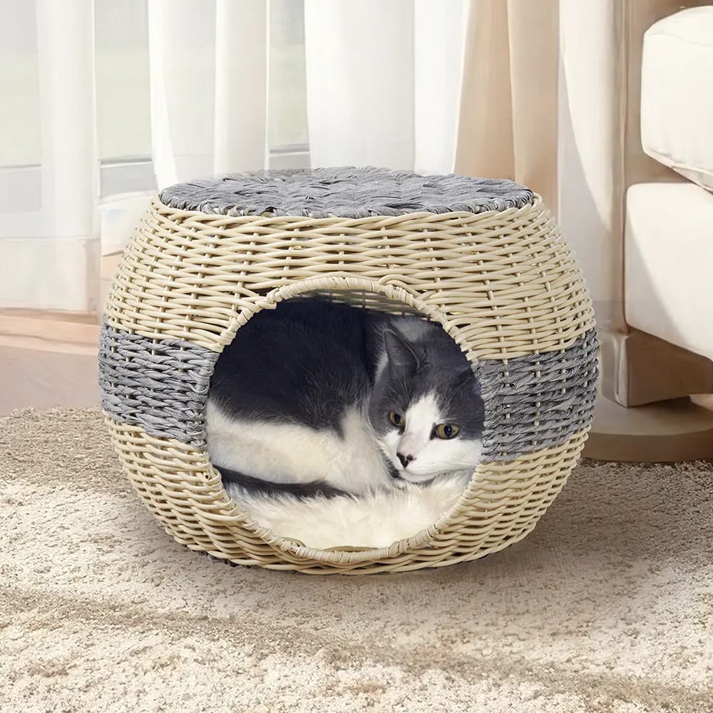 Huntington Ratten Cat Cave