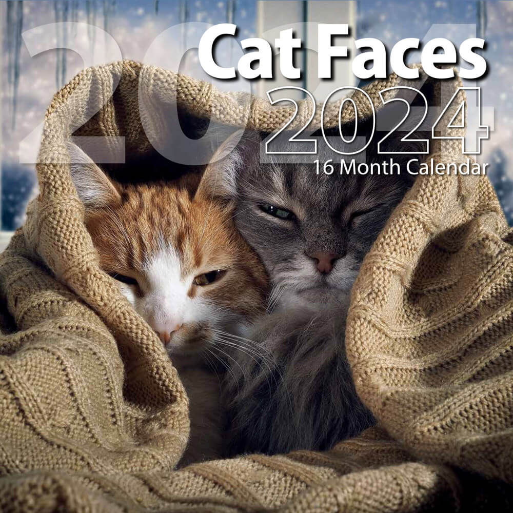 2024 Cat Faces Themed 16-Month Wall Calendar, 12"