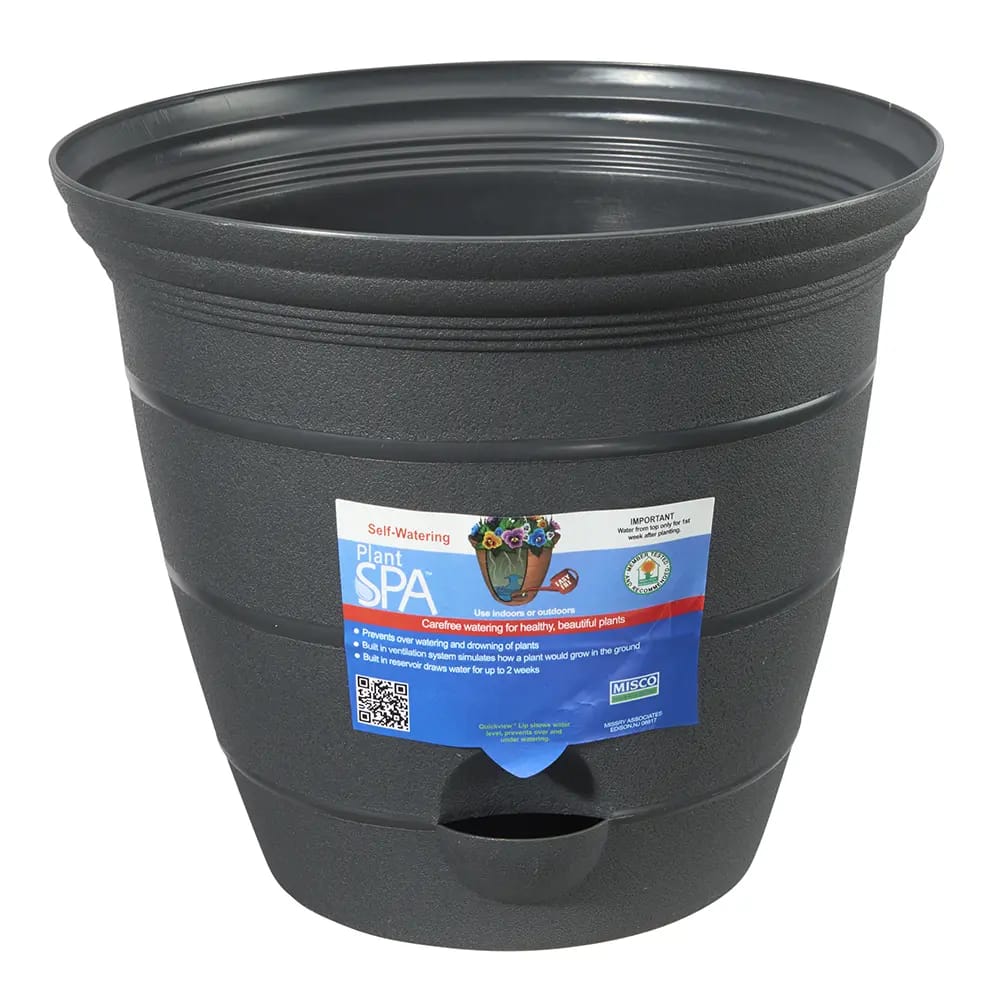 Plant Spa Self Watering Planter, Charcoal, 8"