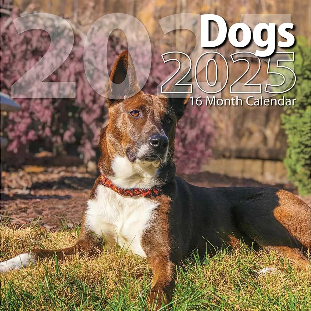 2025 Dogs Themed 16 Month Wall Calendar, 12"