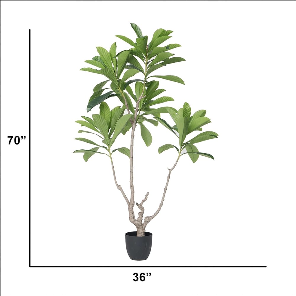 Vintage Home 70" Japanese Blueberry Tree in a Black Pot