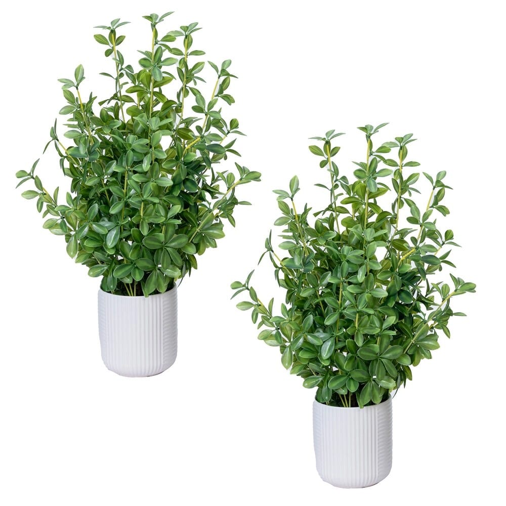 Vintage Home 28" Olive Tree in Beige Ceramic Planters, 2 Pack