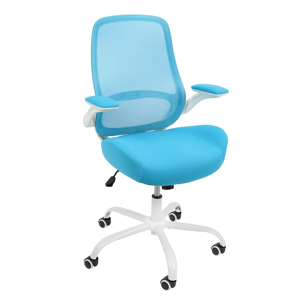 HYLONE Ergonomic Desk Chair with Flip up Armrests, Blue