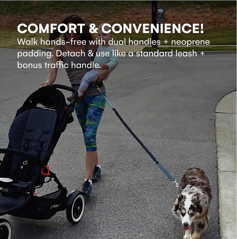 Black Rhino Hands Free Dog Leash, Gray/Aqua