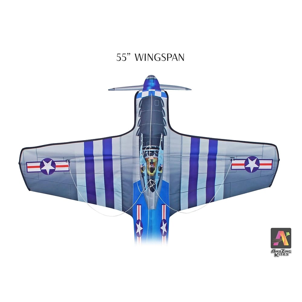 AmaZing Kites 55" Fighter Plane Kite